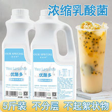 优而优酪多乳酸饮品果茶水果茶冲饮浓缩养乐多优格奶茶店原料