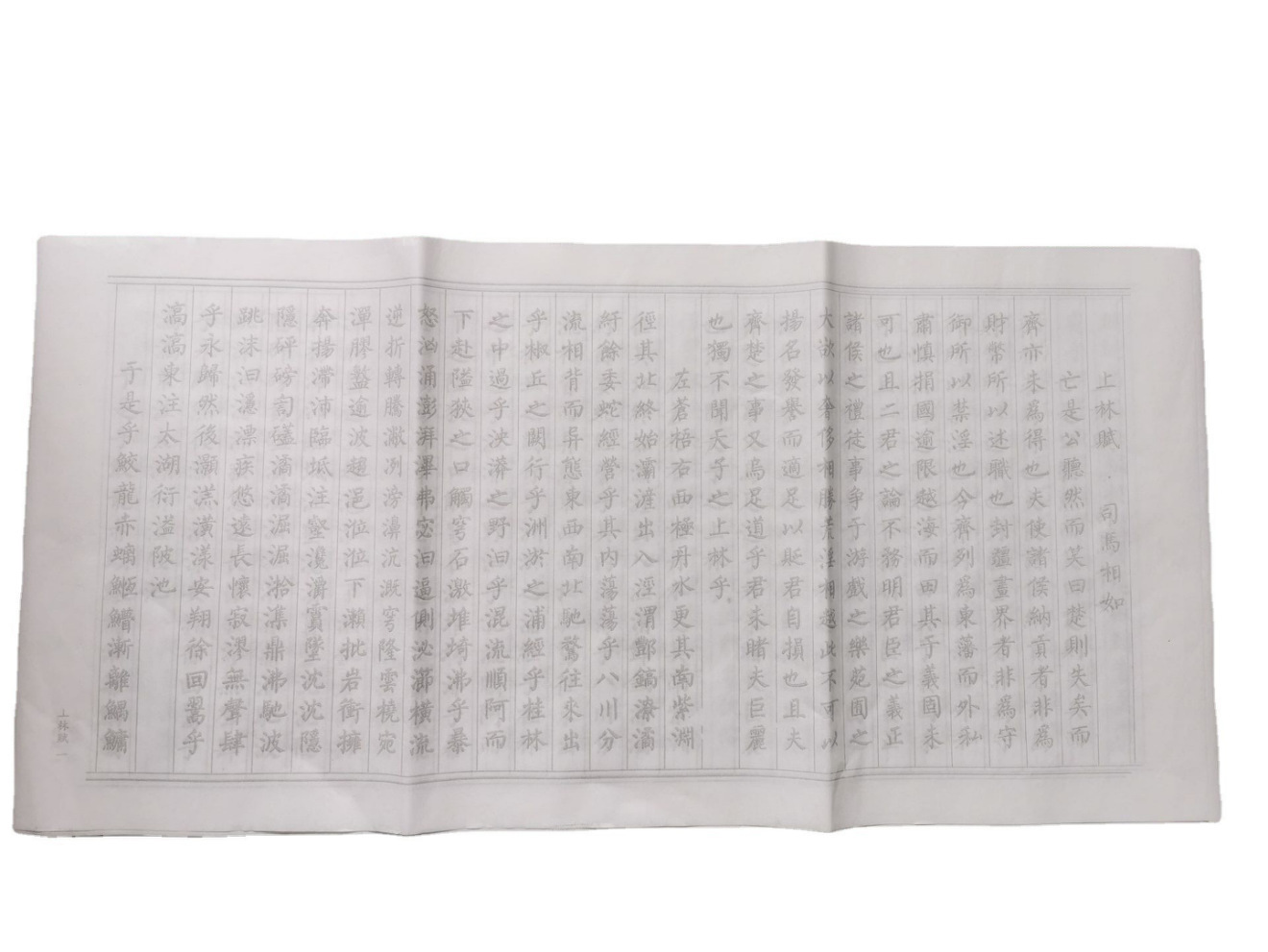 샹클린 푸 [사이즈 34*69cm: 1 팩/12 매/2 회]