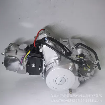 Apollo off-road motorcycle modification Engine assembly