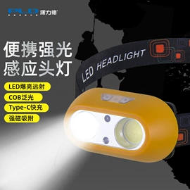 手电筒;头灯头戴电筒;提灯