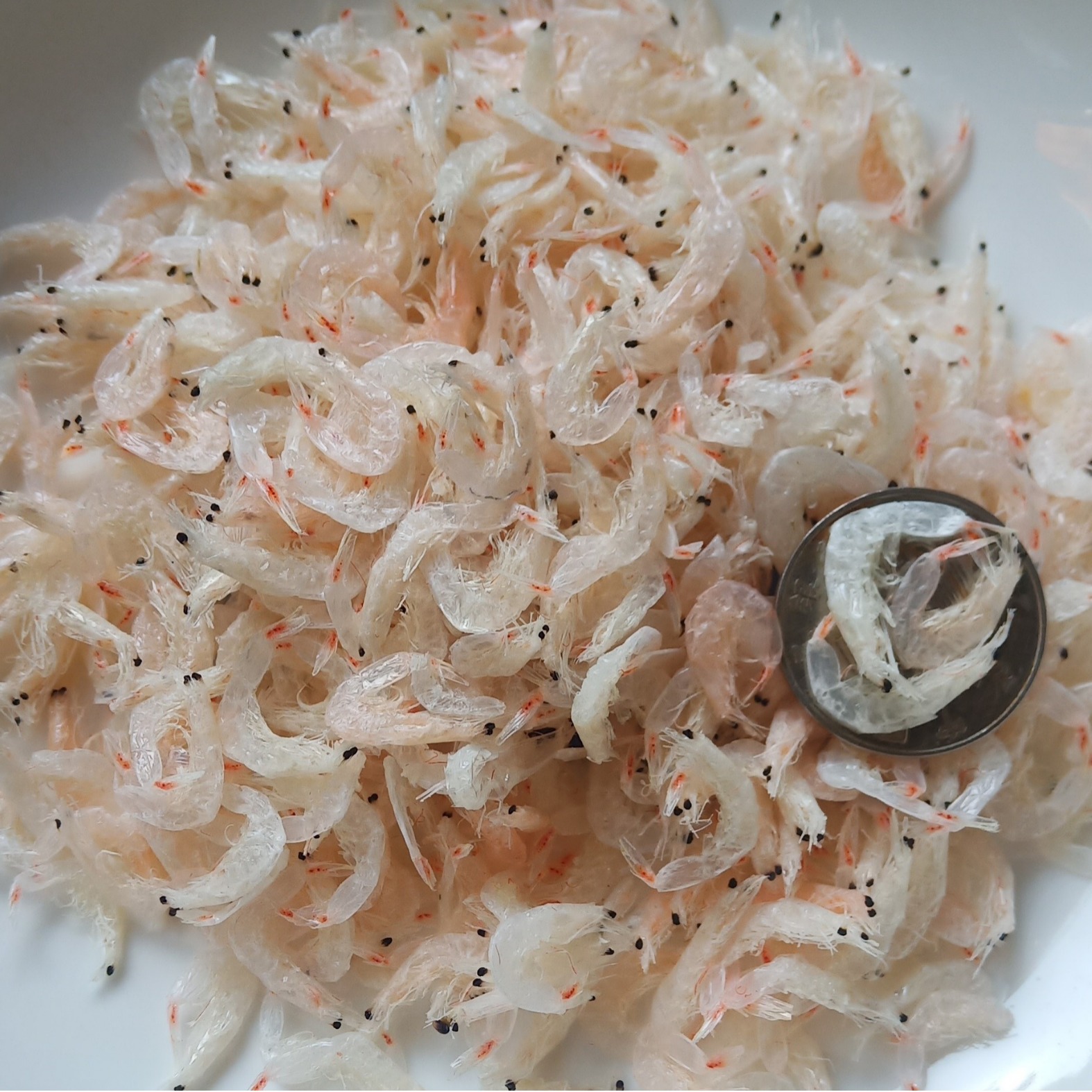 特级淡干生晒大虾皮渔船捕捞野生淡干大虾皮优质营养500g精品虾皮