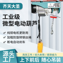 �羳���l220V����С�͵��C�����C �������ϙCPA200΢��늄Ӻ��J