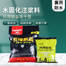 冻干型丙烯酸盐注浆液堵漏剂高压注浆机灌浆材料水固化AB组注浆液