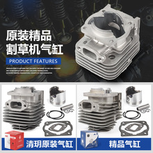 割草机气缸总成割灌机园林绿篱机打草机曲轴箱吹风机气缸活塞缸头