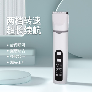 �羳���������控���ĺ�һ������ë���o����������ĥһ�w؈��ͨ��