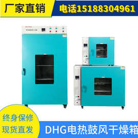 DGH电热鼓风干燥箱 玻璃烧杯烘干设备仪器 特尔仪器鼓风干燥箱
