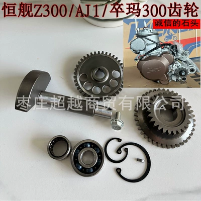 SZC engine, Hengjian Z300 balance shaft, primary and secondary gears, KTM EXC/Husqvarna balance shaft assembly (Flywheel/Gear)