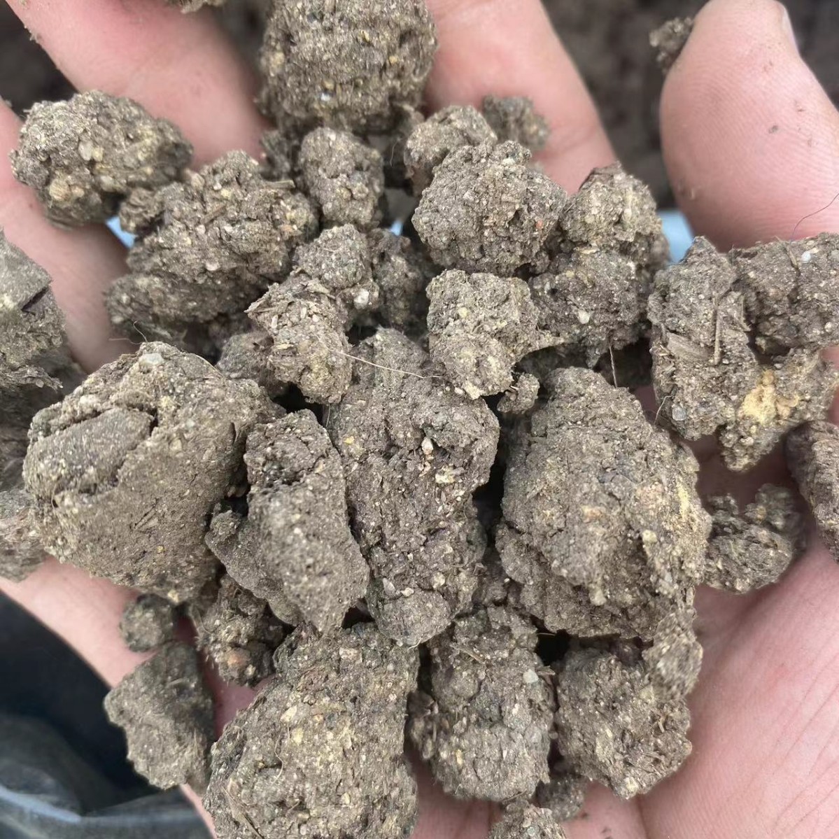 批发农用肥干牛粪块肥果蔬用生物有机肥园林绿化农家肥干牛粪块肥