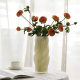 Simple Ins Style Spiral Creative Light Luxury High-end Sense Glass Vase Dining Table Living Room Ornaments Hydroponic Vase