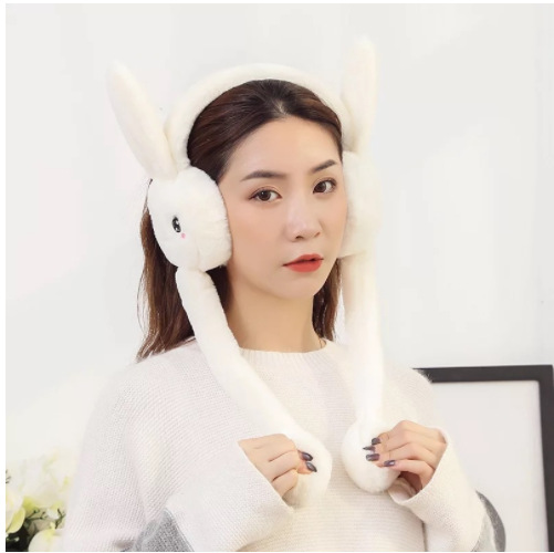 cfe287987b78aff8c3c1849e4d3496