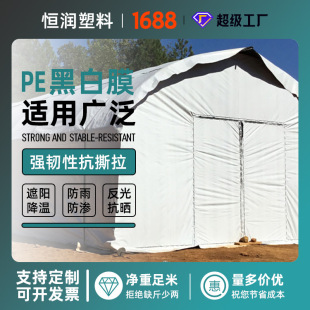 ���l�ڰ׃������Ĥ  �r���rĤ�ڰ״���Ĥ �BֳPE�ĺڰ״����