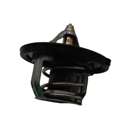 255002B000, Thermostat