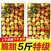 ������󶬗����r���ش���𶬗����rˮ��5��������]3��