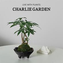 ��ؔ�lؔ��̦�\����ʽ�U���k���ҿ͏d����ˮ����B�Gֲ�ļ�����