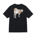 A751【cow】