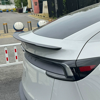Suitable for the 2025: Fixed wind wing