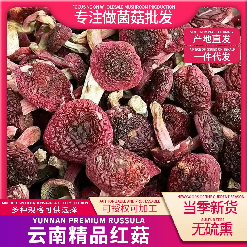 云南思茅红菇干货蓝底标菇正红菇产地批发 一件代发