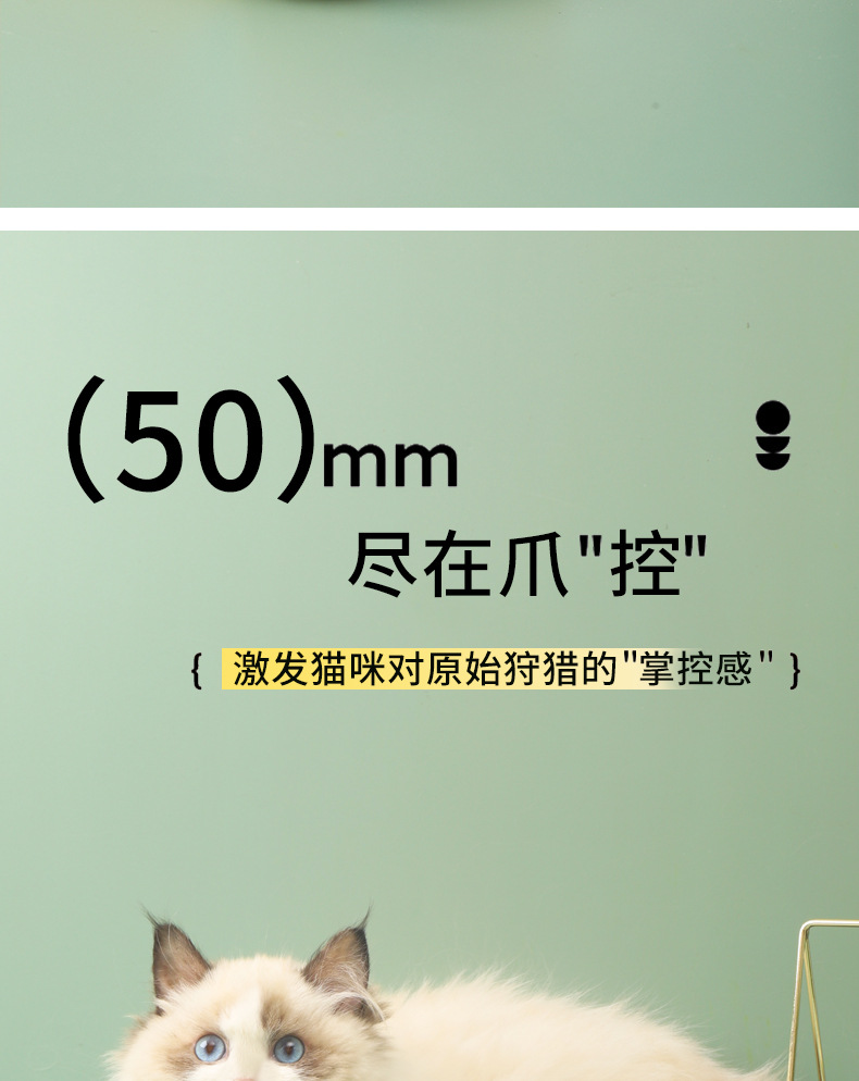 详情_02.jpg