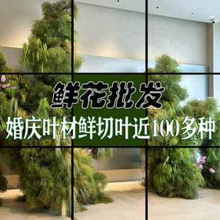 ��Y�r��ֱ�l�r�л�������~��c�����~�Ľ��ٷN�����r�����l����