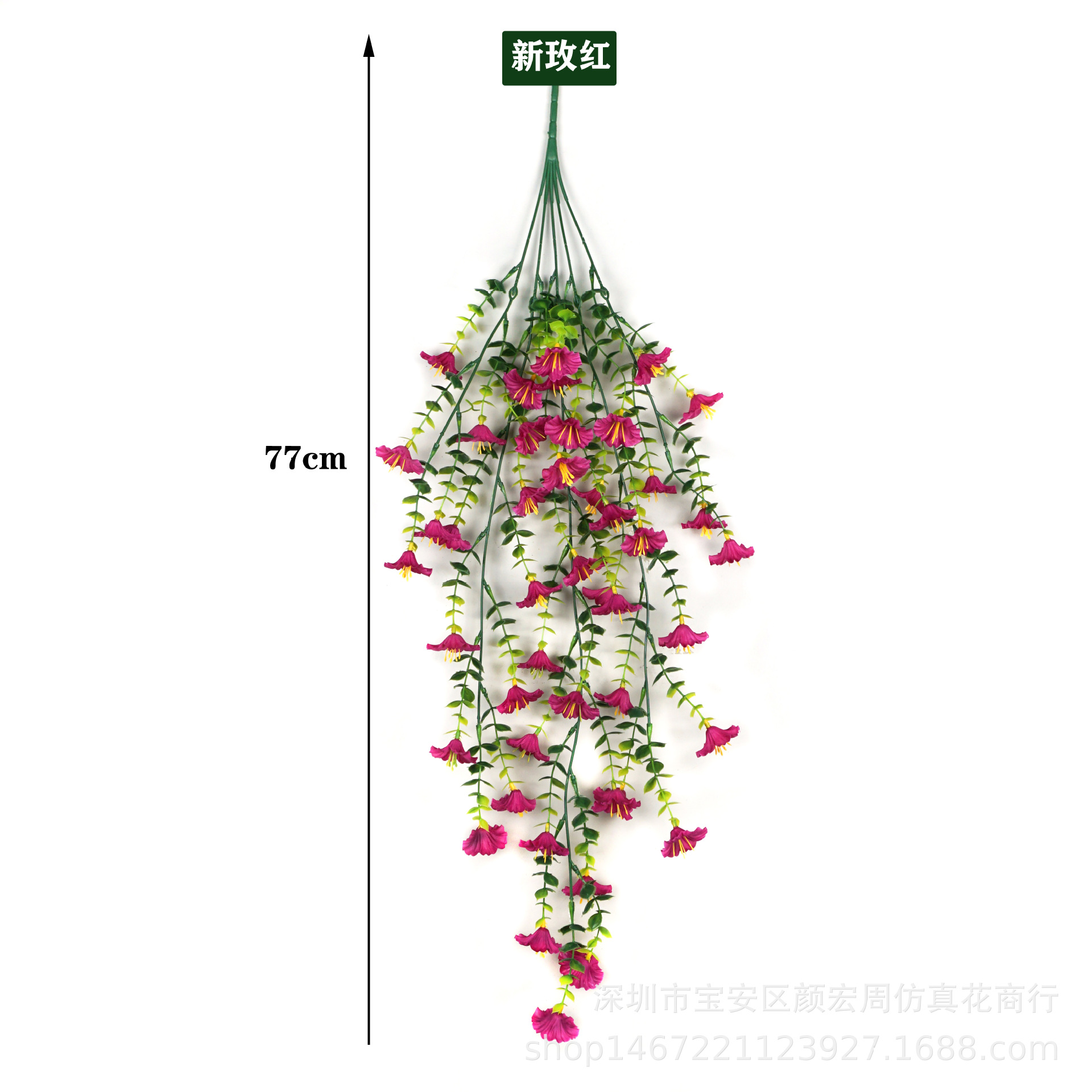 뉴 로즈 레드