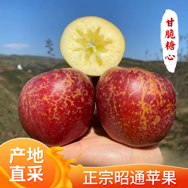 云南昭通丑苹果新鲜水果当季新果高山红富士冰糖心苹果整箱批发