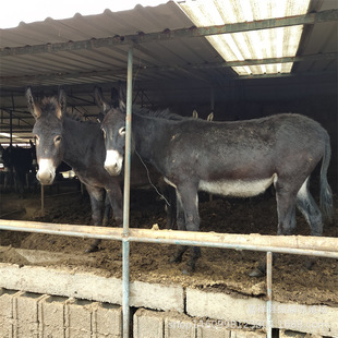 ɽ�|���H�r�� �����HС�H�x �����H���H�� ���^�Hһ�^