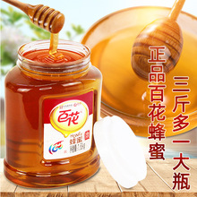 蜂蜜1630g杂花蜂蜜怀香花荆花1.63kg蜂蜜家庭餐饮商用