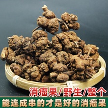 �����������z�����^�{�Ӳ��S������������^·�S�������B�N����