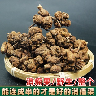 �����������z�����^�{�Ӳ��S������������^·�S�������B�N����