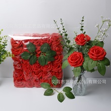 �F؛���l30��/��PE��ĭõ�廨 ��֦�ɻ�������������Y�Ҿ��b�