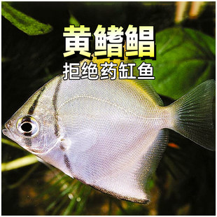 �S���K�~ɺ�������~��ˮ�~�����˹�����Ⱥ�������K�~�����K��ˮ�~