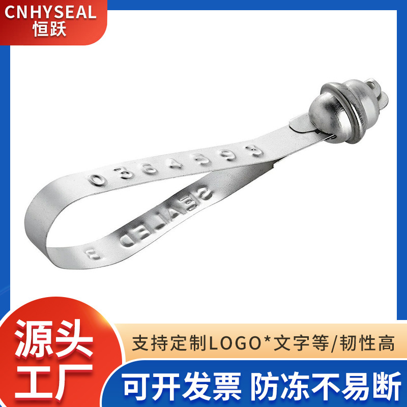 封条 一次性封条物流铁皮封条 带防盗用品包扣威海防调包  CH403