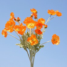 ��ڻ�����4ͷС������ ���滨�ٻ� �Ҿ���װ��Ӱ����װ�ΰڼ���