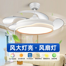 ȫ���V�[�ε��ȟ����ȟ����ÿ͏dd������픟�׃�l�o���L�ȵ���