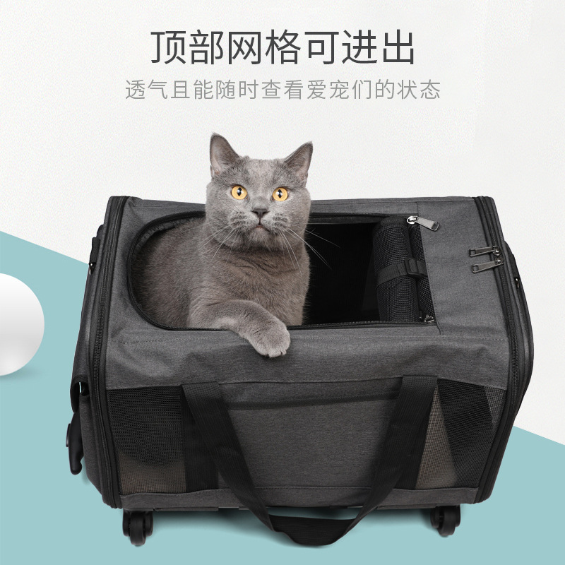 新款猫包外出便携拉杆宠物包透气可折叠大容量单肩斜挎手提宠物箱