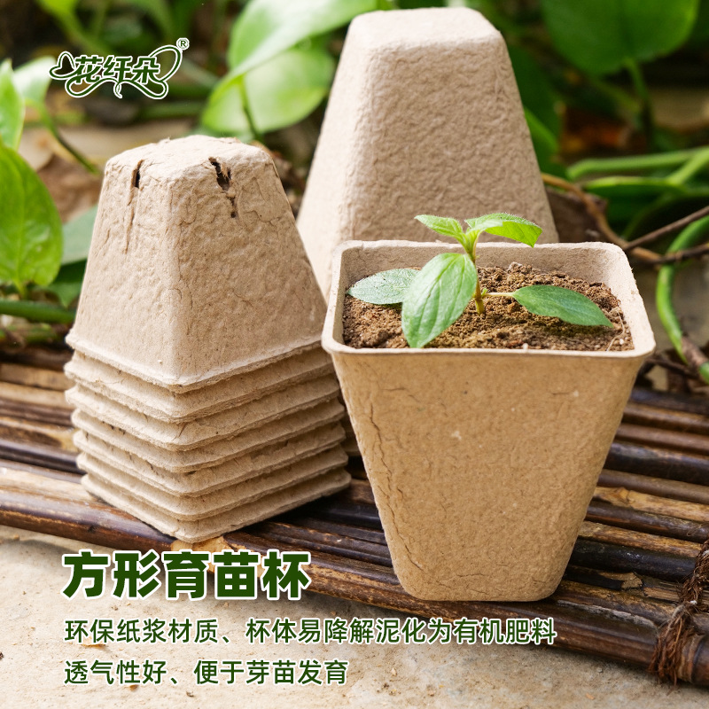 育苗盘批发树苗营养杯多肉叶插芽苗菜蝴蝶兰可降解育苗杯穴直销