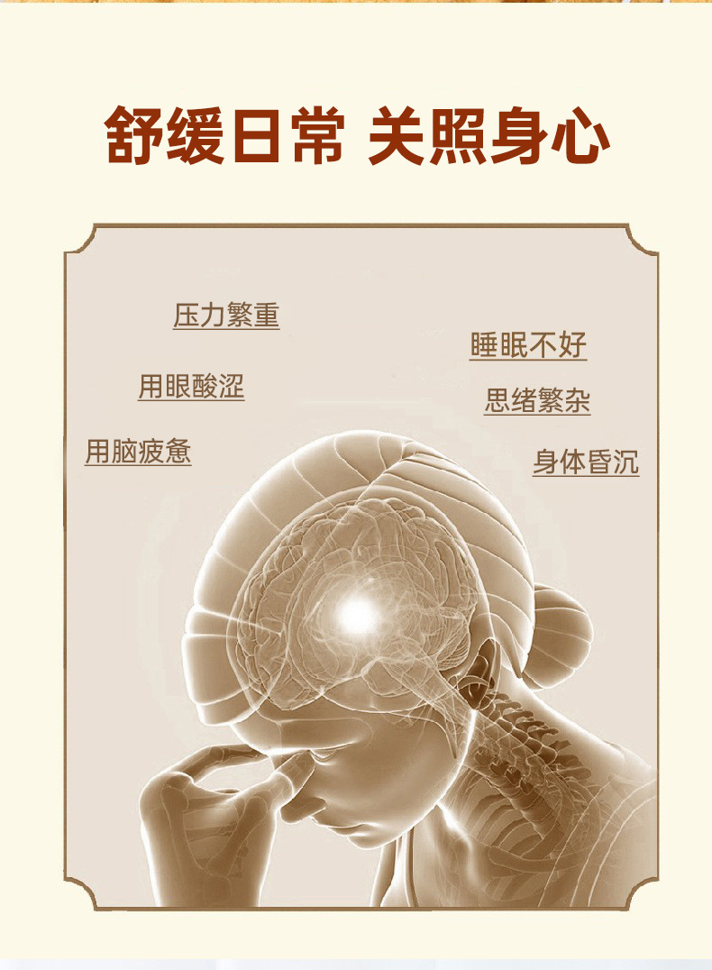 Electric Moxibustion Cap Heated Head Therapy Hat with Mugwort Ai Cao for Smokeless Scalp Warming key features