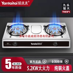 煤气灶双灶家用台式液化气双头天然气燃气灶老式双眼节能猛火炉具