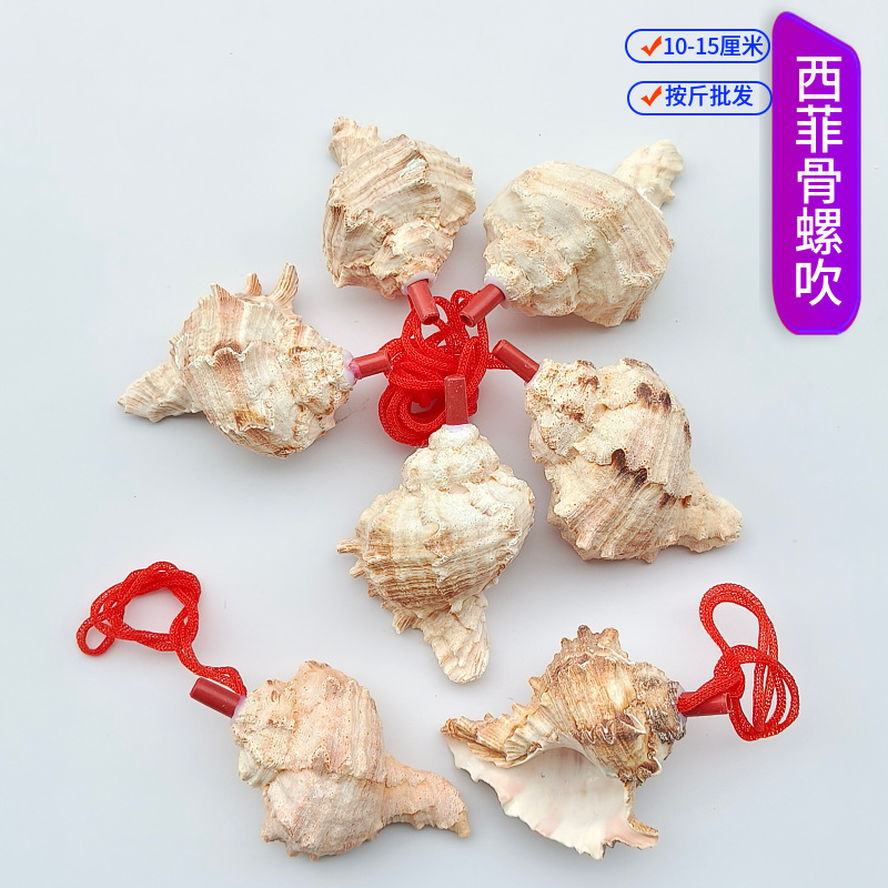 露店の装飾品、さまざまな貝殻、巻貝の工芸品、貝殻、巻貝の笛、子供のおもちゃ、巻貝の笛の卸売|undefined
