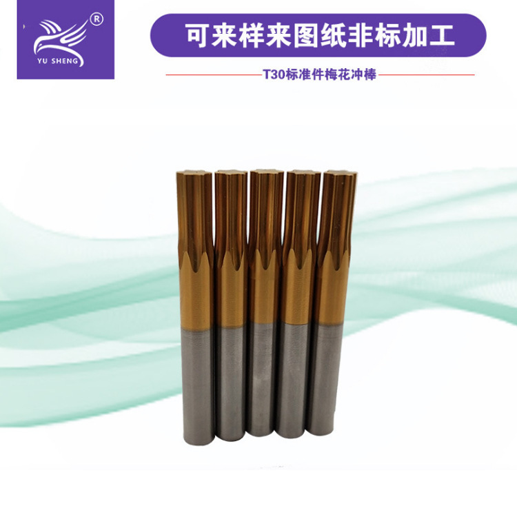 ݸʤ ÷ ˿ͷγѹT30ٸģ