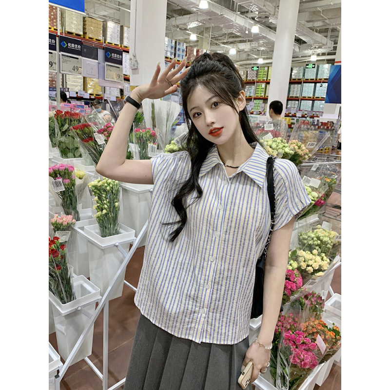 女性の夏の文芸スーツ、小柄な知識人のためのストライプ半袖シャツとプリーツロングスカートの2点セット|undefined