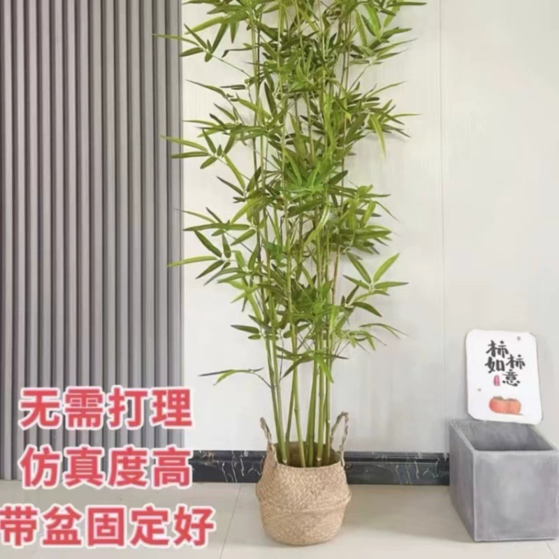 Зеленые растения и бамбук, зеленые растения для внутреннего и наружного балкона, украшение в китайском стиле, витрина для гостиной, перегородка с цветочным экраном, ландшафтный дизайн двора