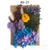 A5-21