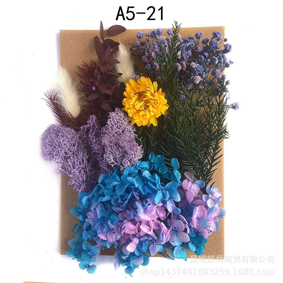 [Paquete de material de estampado A5] Flor seca flor eterna marco de fotos paquete de material de estampado DIY flor aromaterapia vela flor seca