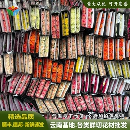 鲜切花;园艺工具;干花