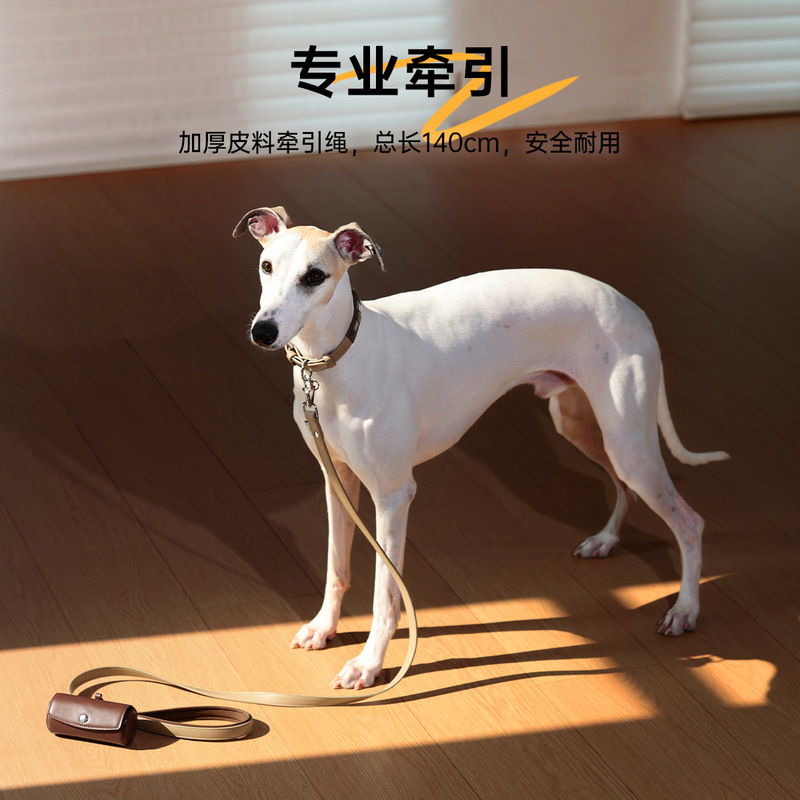wakytu英国狗狗颈圈脖圈项圈小狗中大型犬宠物用品泰迪牵引防爆冲|undefined