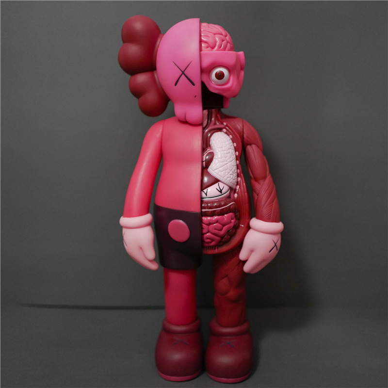 半解剖红-37cm