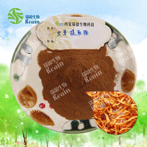 Cordyceps Extract 10:1, Cordyceps Powder, Water Soluble, Large Quantity Discount Cordyceps Extract