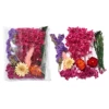 Fixed rose red 01