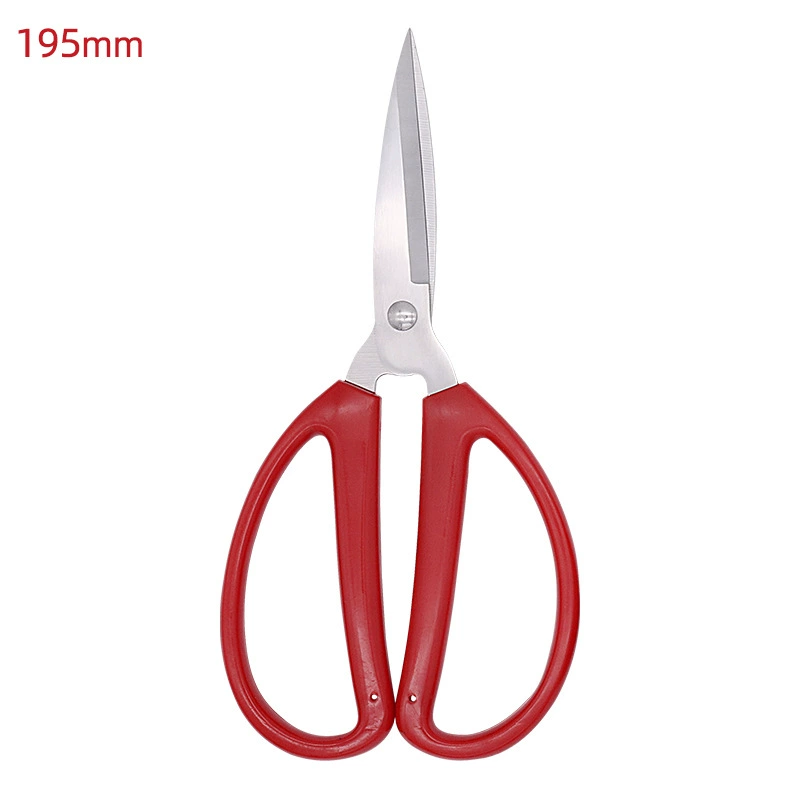 Scissors stainless steel reusable, (Physicals)